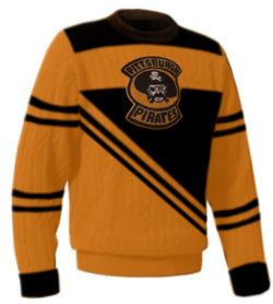 Pittsburgh Pirates (NHL) Remembering the Pittsburgh Pirates the team that brought line