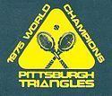 Pittsburgh Triangles httpsuploadwikimediaorgwikipediaenthumbd