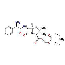 Pivampicillin Pivampicillin C22H29N3O6S ChemSpider