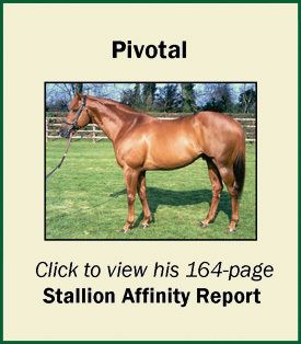 Pivotal (horse) csbloodhorsecomblogstruenicksStallionAffinit