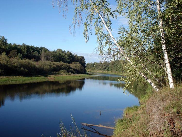 Pizhma River (Vyatka basin) bvkubenarodruKARTINKIPIGMA2010Pigma013ljpg