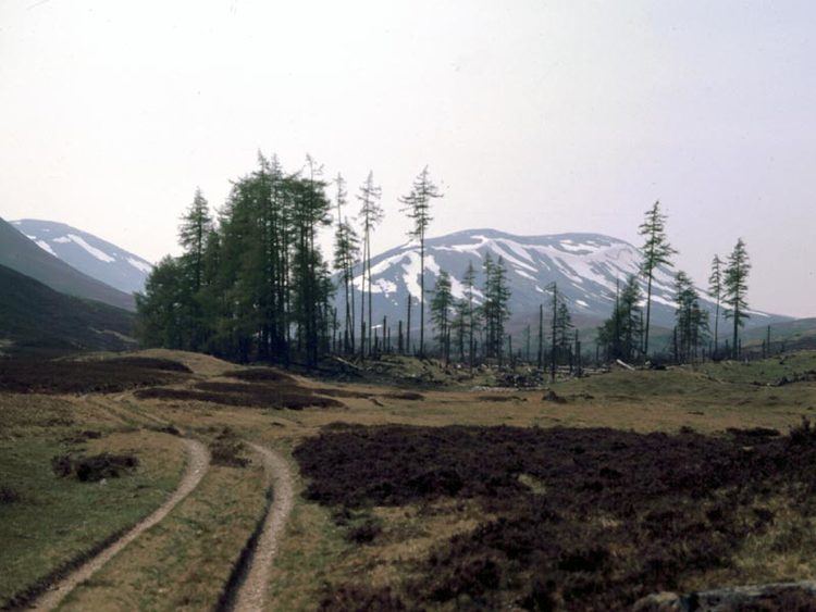 Places, place names, and structures on Mar Lodge Estate