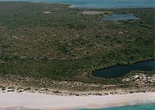 Plana Cays httpsuploadwikimediaorgwikipediacommonsthu