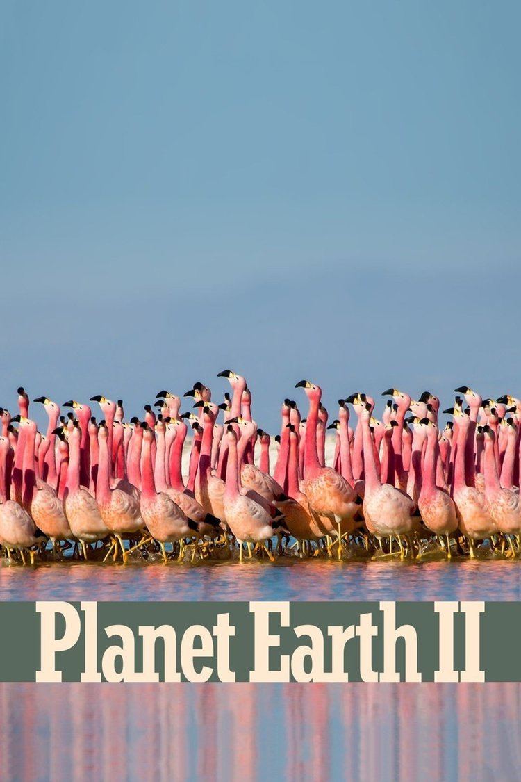 Planet Earth II wwwgstaticcomtvthumbtvbanners13442133p13442