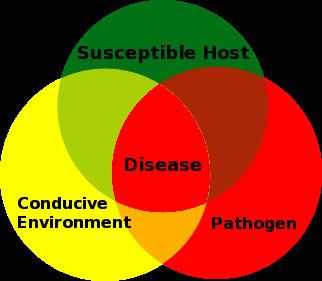 Plant disease epidemiology