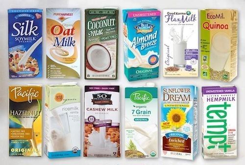Plant milk Your Guide to Going Dairy Free PlantBased Milks Cheeses and More