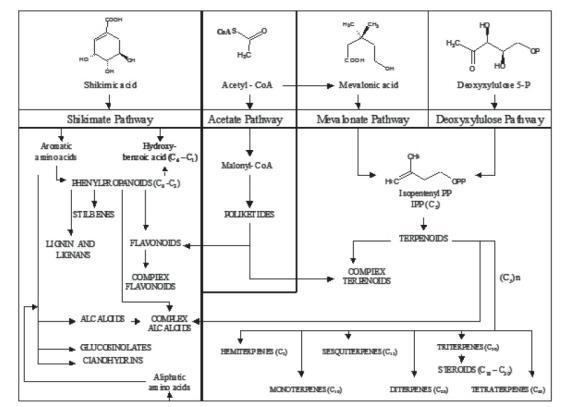 Plant secondary metabolism Induced plant secondary metabolites for phytopatogenic fungi control