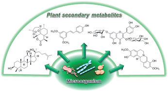 Plant secondary metabolism Microbial biosynthesis of medicinally important plant secondary