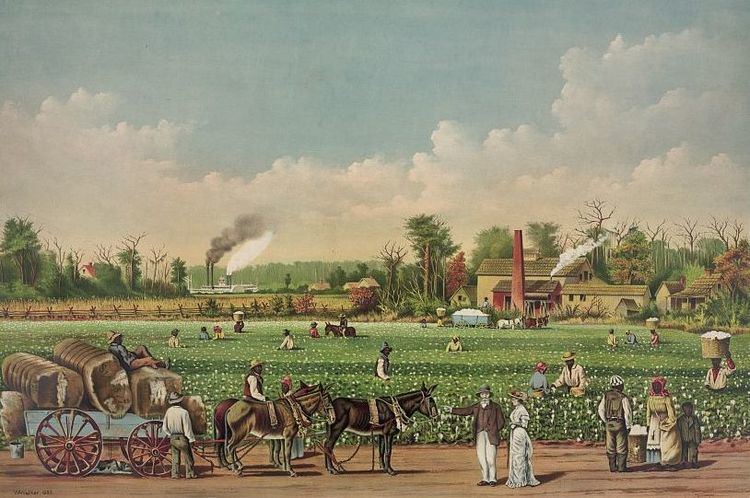 Plantations in the American South
