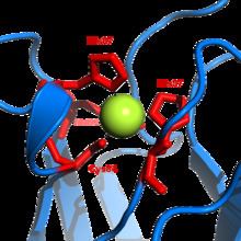 Plastocyanin Plastocyanin Wikipedia