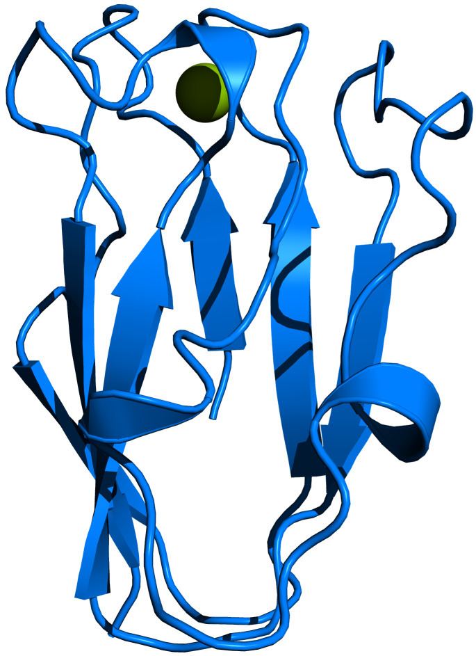 Plastocyanin Plastocyanin Wikiwand