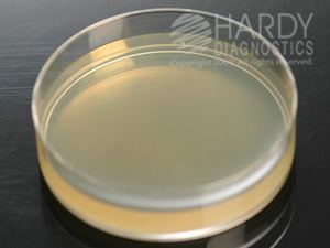 Plate count agar mHeterotrophic Plate Count mHPC Agar for testing water by