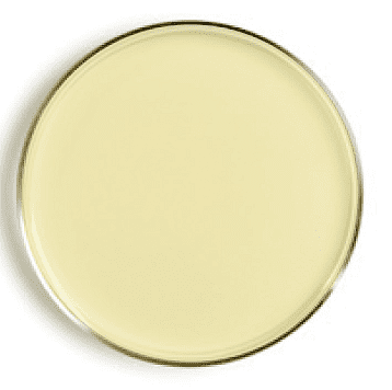 Plate count agar Products