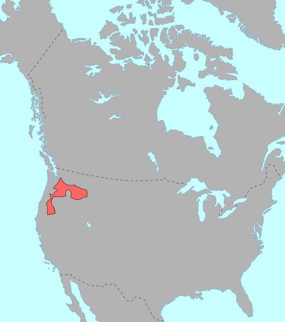 Plateau Penutian languages