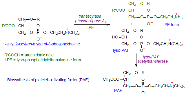 Platelet-activating factor PlateletActivating Factor core aldehydes and related lipids