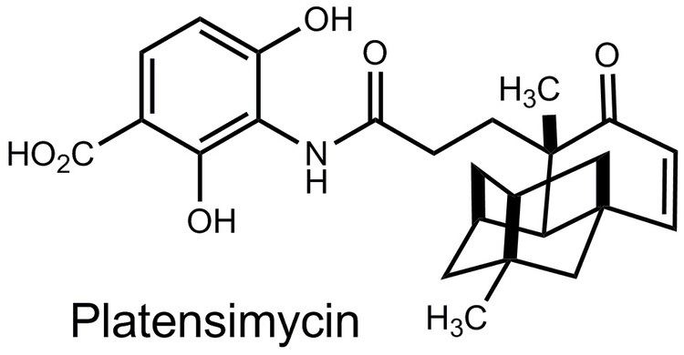 Platensimycin Natural Products as Small Molecule Probes
