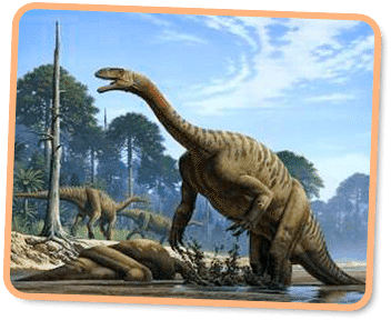Plateosaurus csskidsdinoscomwpcontentuploads201509Plate