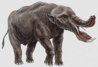 Platybelodon Prehistoric animals The Platybelodon an ancestor of the elephant