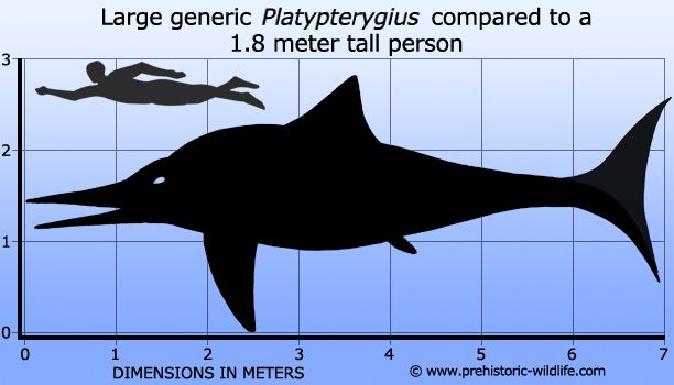 Platypterygius - Alchetron, The Free Social Encyclopedia