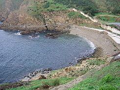 Playa El Desnarigado httpsuploadwikimediaorgwikipediacommonsthu