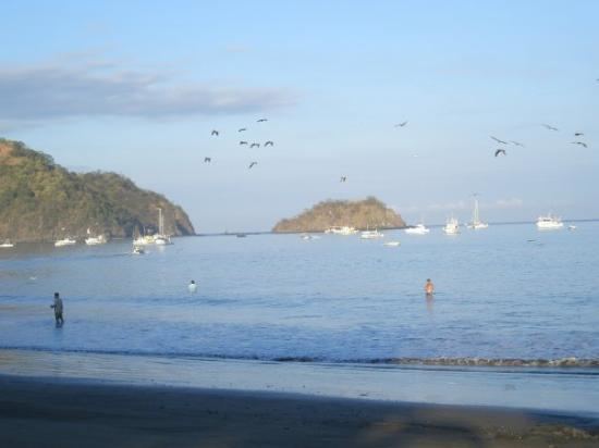 Playas del Coco httpsmediacdntripadvisorcommediaphotos01