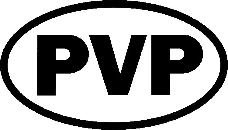 Player versus player PvP and Accessibility Digital Initiative