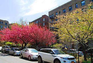 Plaza Lafayette httpsuploadwikimediaorgwikipediacommonsthu