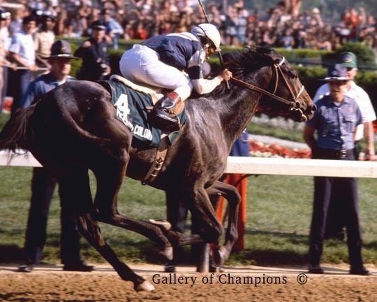 Pleasant Colony 1981 Kentucky Derby Pleasant Colony 820 Gallery of Champions