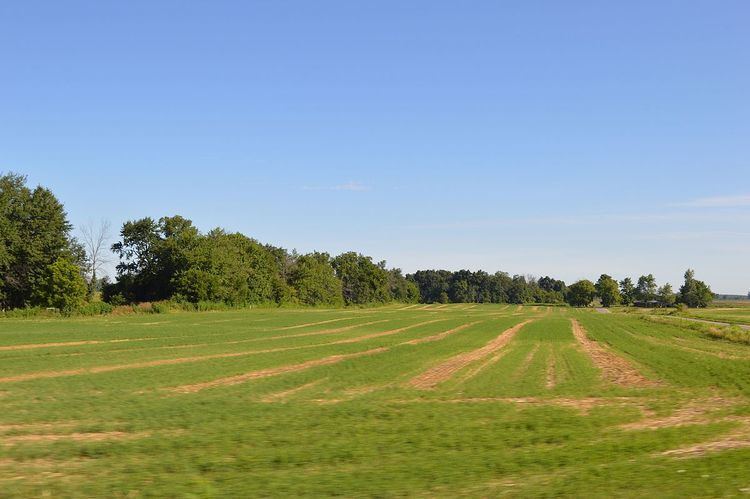 Pleasant Township, Logan County, Ohio