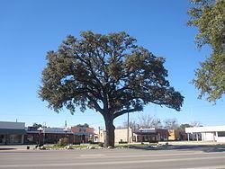 Pleasanton, Texas httpsuploadwikimediaorgwikipediacommonsthu