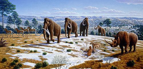 Pleistocene megafauna httpsuploadwikimediaorgwikipediacommonsthu