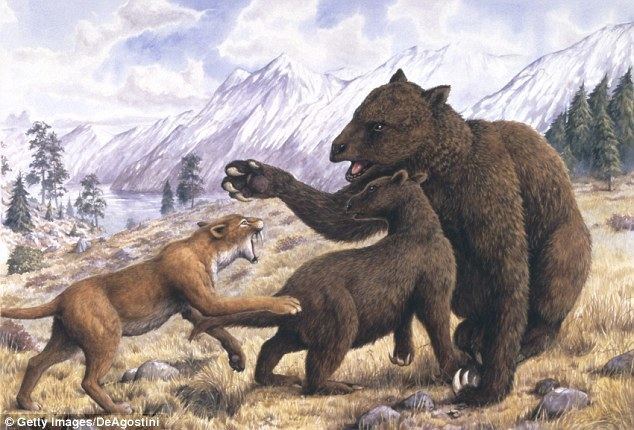 Pleistocene megafauna Prehistoric mammoths more susceptible to changes in the food chain