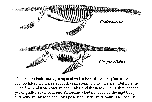 Plesiosauria Palaeos Vertebrates Sauropterygia Plesiosauria