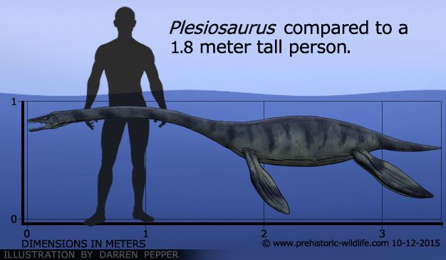 Plesiosaurus Plesiosaurus