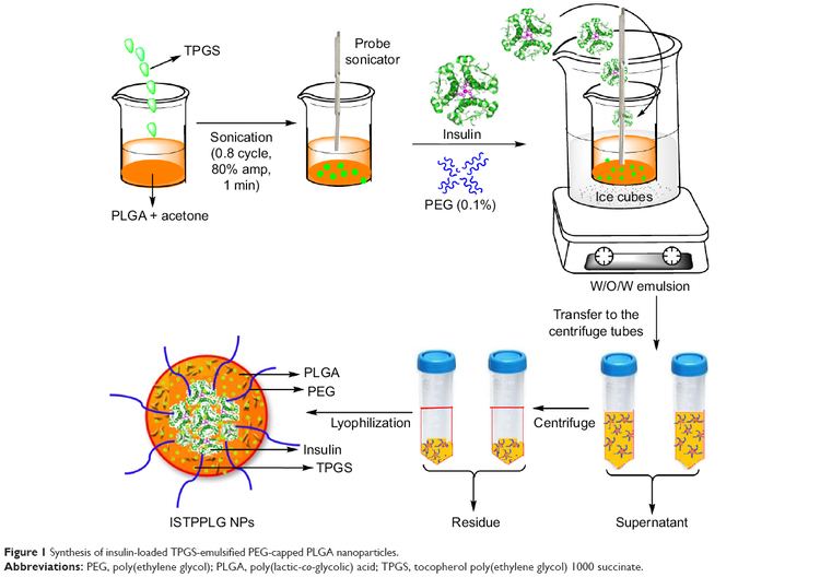 PLGA Full text Novel PLGAbased nanoparticles for the oral delivery of