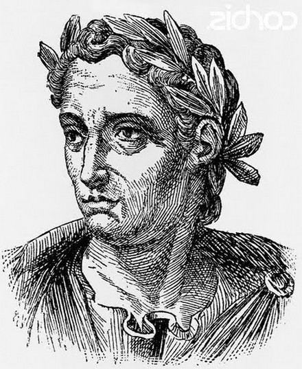 Pliny the Elder Gaius Plinius Secundus The Younger Short Biography