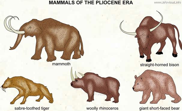 Pliocene Pliocene Visual Dictionary