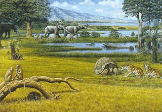 Pliocene History of Earth Pliocene Epoch Cenozoic Era