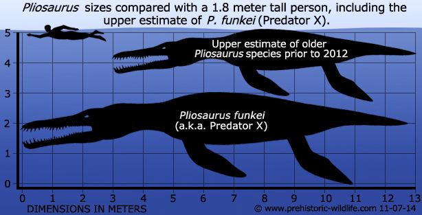 Pliosaurus Pliosaurus