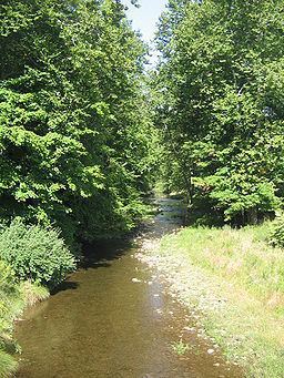 Plunketts Creek (Loyalsock Creek) httpsuploadwikimediaorgwikipediacommonsthu