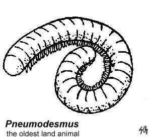 Pneumodesmus Images in Time Educational Resources for K16