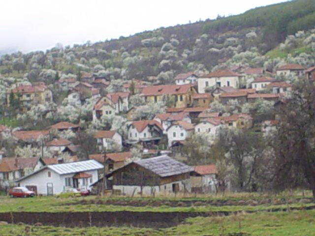 Pobit Kamak, Kyustendil Province