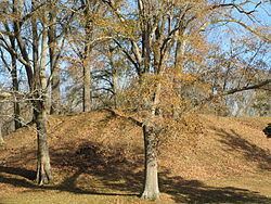 Pocahontas Mounds httpsuploadwikimediaorgwikipediacommonsthu
