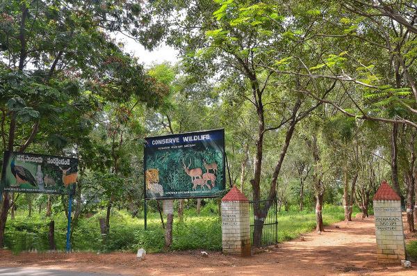 Pocharam Wildlife Sanctuary Witness nature from close at Pocharam wildlife sanctuary Nizamabad