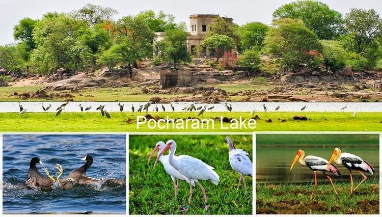 Pocharam Wildlife Sanctuary - Alchetron, the free social encyclopedia