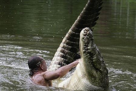 Pocho (crocodile) The true story of Pocho the crocodile When man and croc become best