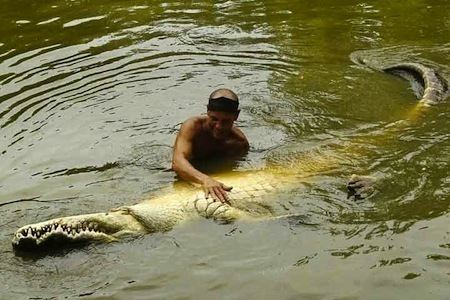 Pocho (crocodile) The true story of Pocho the crocodile When man and croc become best