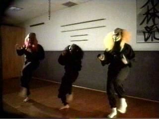 Pocket Ninjas Pocket Ninjas Trailer 1993 Video Detective