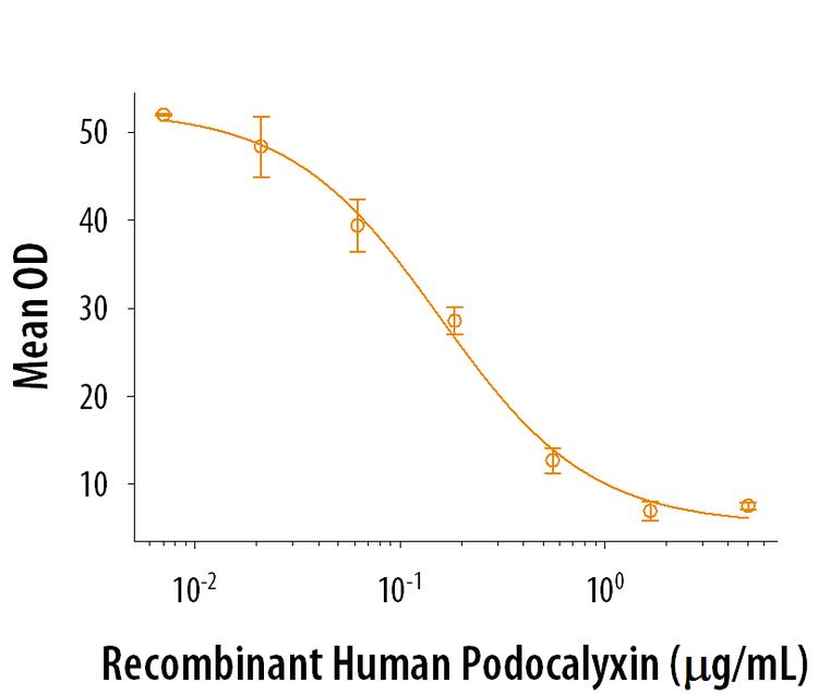 Podocalyxin Recombinant Human Podocalyxin Protein RampD Systems