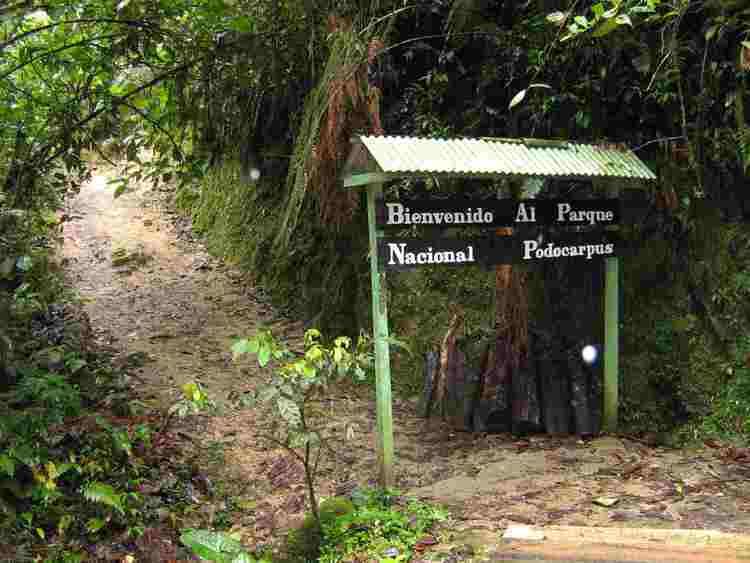 Podocarpus National Park Podocarpus National Park East Bombuscara District Dean39s Place